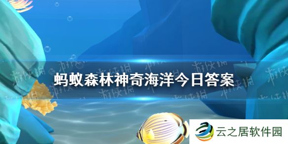 以下哪种海洋生物因为酷似电灯泡而得名  神奇海洋12月30日答案